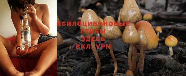 крисы Инсар