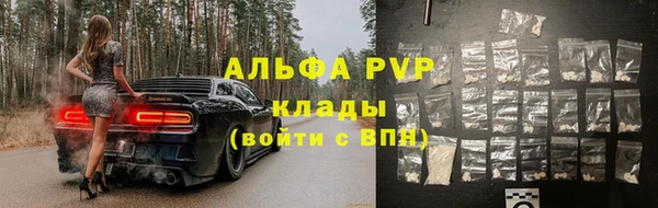 крисы Инсар