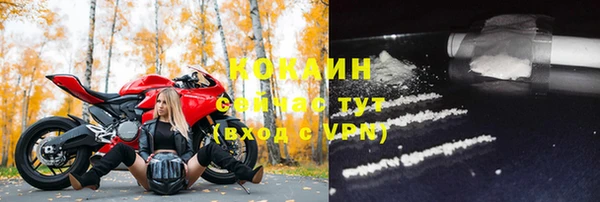 крисы Инсар