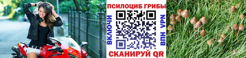 Псилоцибиновые грибы мухоморы  Купить  Усть-Илимск 